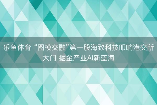 乐鱼体育 “图模交融”第一股海致科技叩响港交所大门 掘金产业AI新蓝海