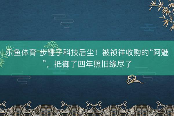 乐鱼体育 步锤子科技后尘！被祯祥收购的“阿魅”，抵御了四年照旧缘尽了